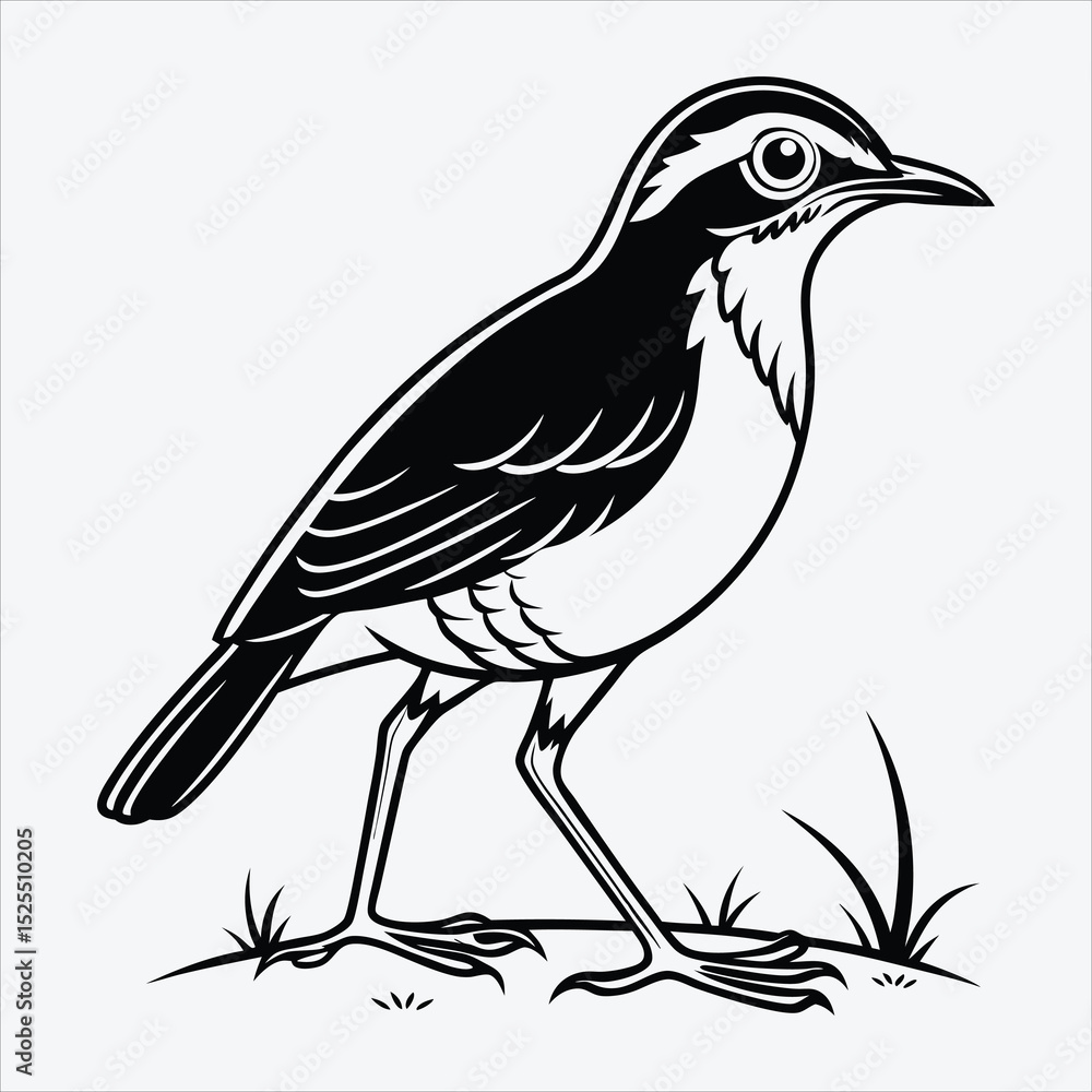 Obraz premium Antpitta line art White background illustration Generative Ai.