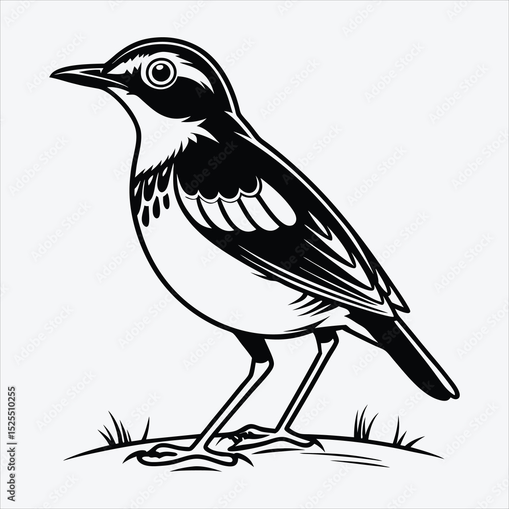 Fototapeta premium Antpitta line art White background illustration Generative Ai.