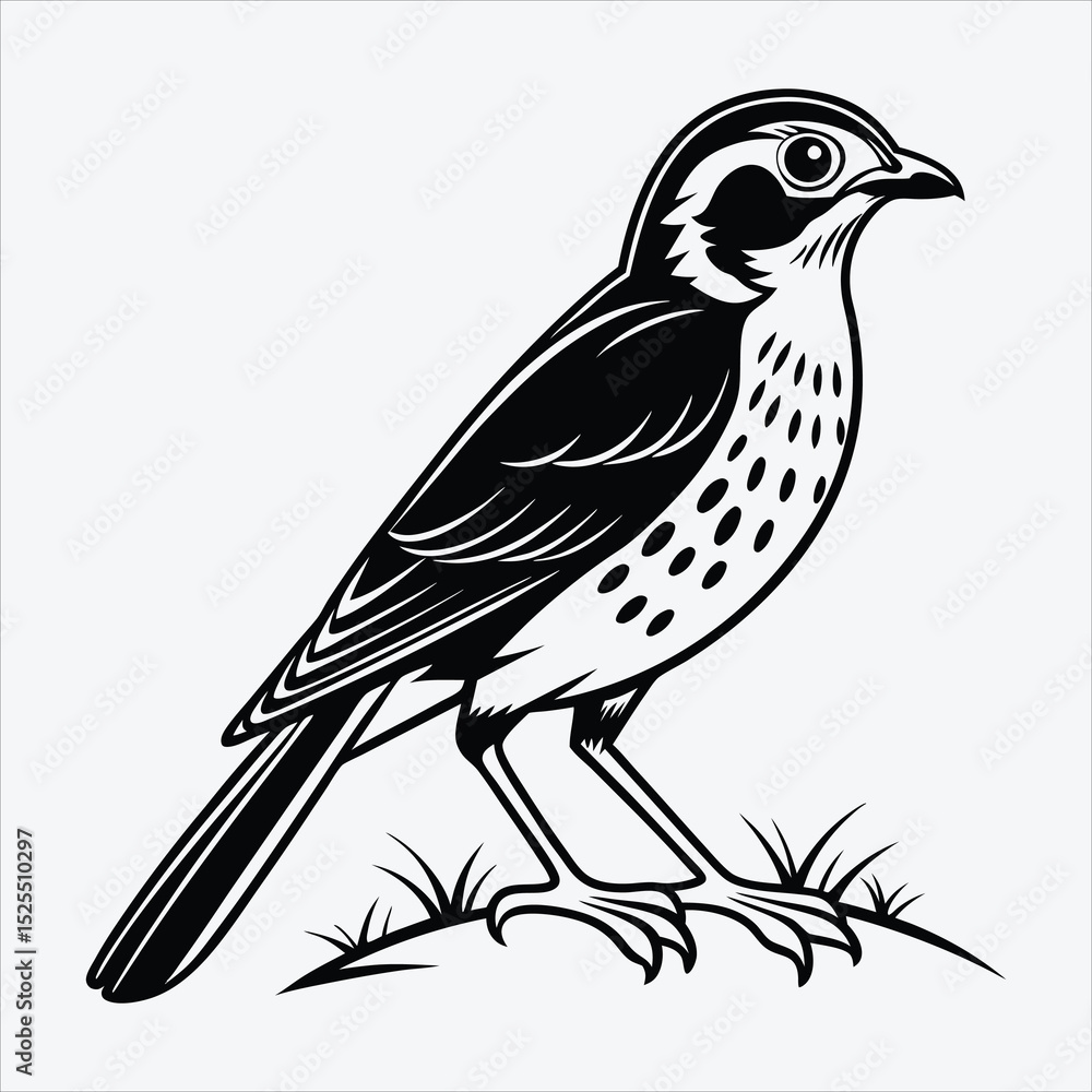 Fototapeta premium Antpitta line art White background illustration Generative Ai.