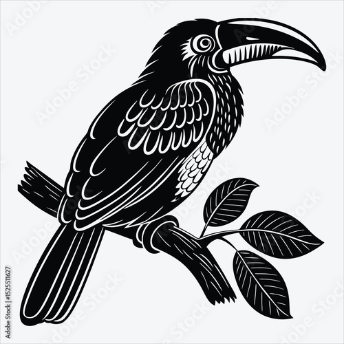 Aracari line art White background illustration Generative Ai.