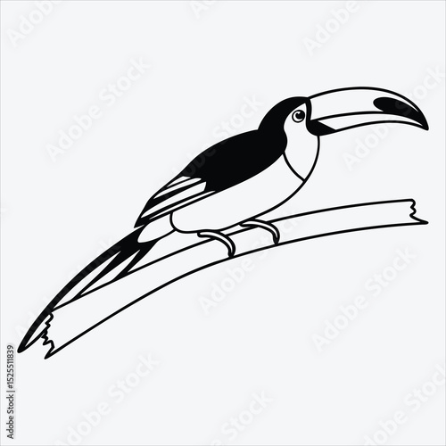 Aracari line art White background illustration Generative Ai.