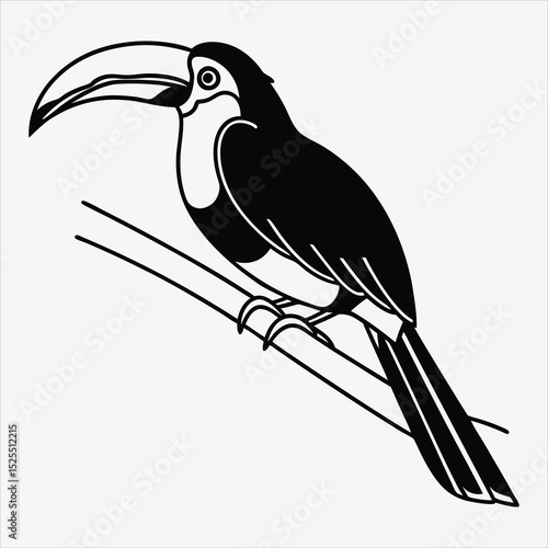 Aracari line art White background illustration Generative Ai.
