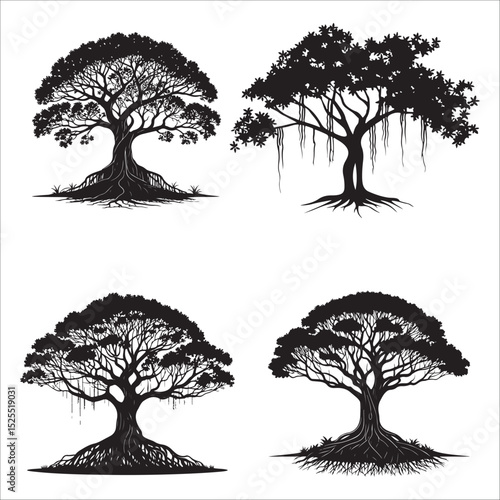 best banyan tree silhouette vector