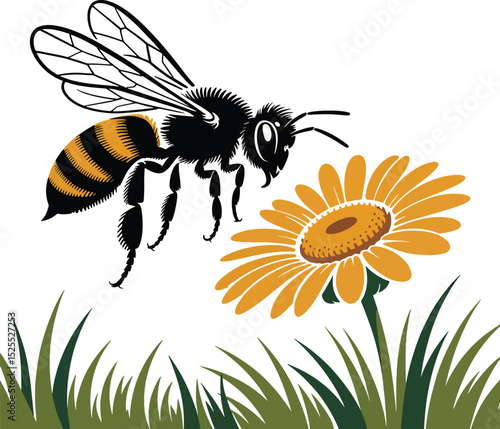 bee on flower