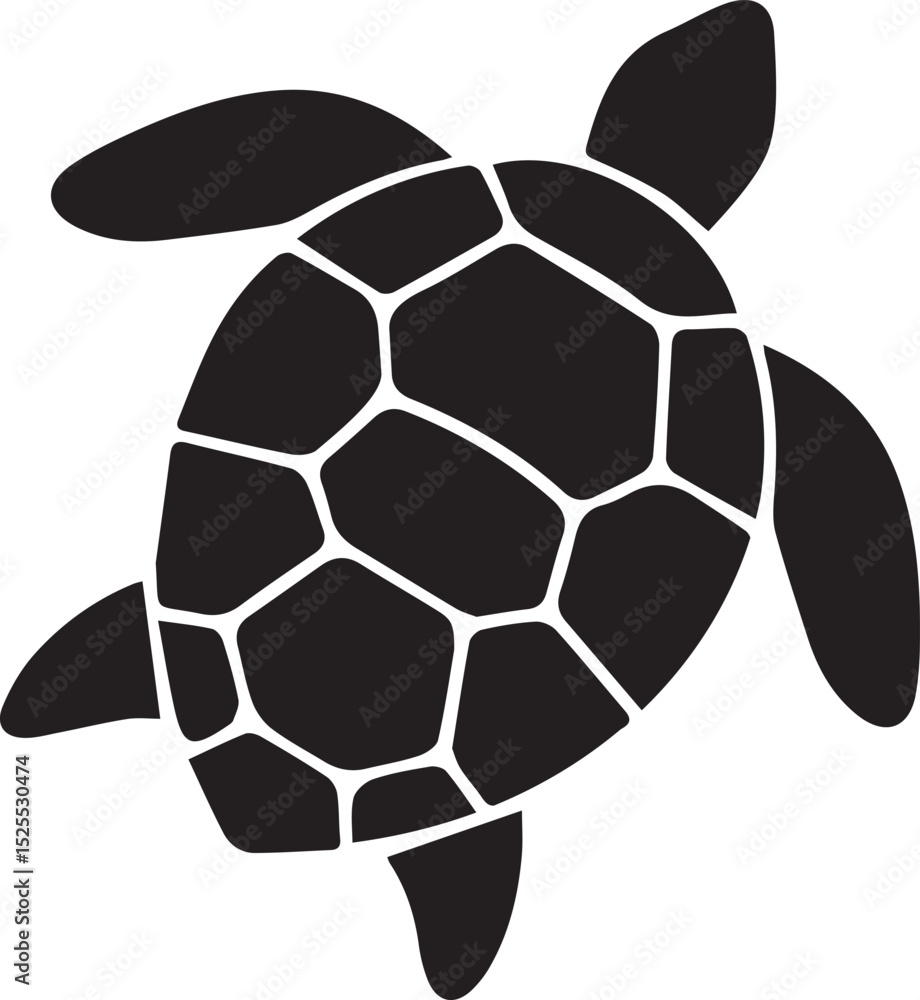 Obraz premium vector illustration of turtle.