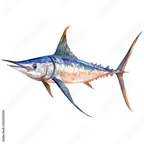 Swordfish, watercolor clipart vector, high quality, isolated on a white background.