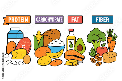 A set of vector illustrations representing the four main categories of food, including protein, carbohydrates, fat, and fiber, in different organic and natural products, promoting a healthy lifestyle