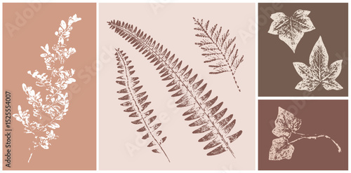 Set of hand drawn flower ivy leaf botanical prints on various color swatches. Plant and flower art for card design or invitation.