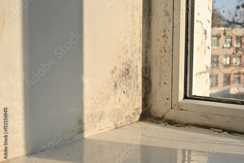 Golden sunlight highlights mold networks mapping their conquest of window areas. black mold of window from high humidity. midday sun exposes mold colonization. window slopes are overgrown with fungus