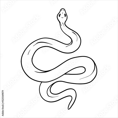 Black and white line drawing of snake. Vector illustration of a snake Pen and Ink Drawing. Sketch animal illustration. Minimal black and white line art design. Hand Drawn outline of snake. EPS10