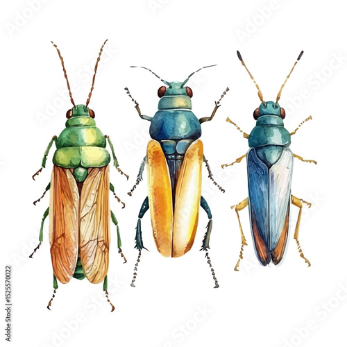 Subterranean Insects, watercolor painting vector, high quality, isolated on a white background.