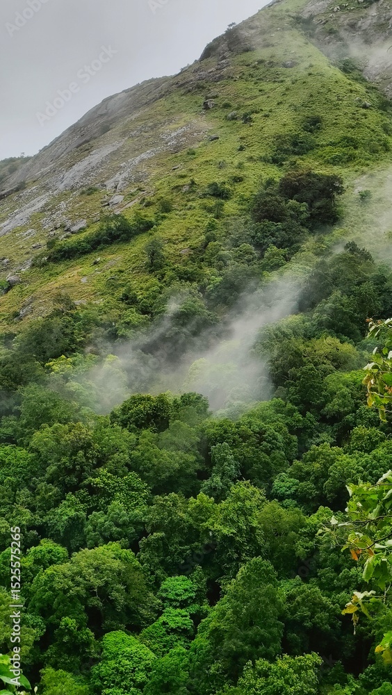Obraz premium Mist rolling out of a mountain 