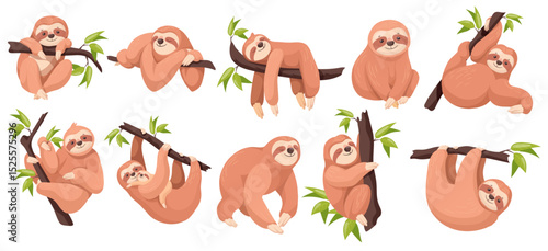Cartoon sloths. Cute sloth lazy animal sleep on tree, mom with baby climb or hanging branch amazon jungle adorable animals poses sleepy happy face, set neat vector illustration