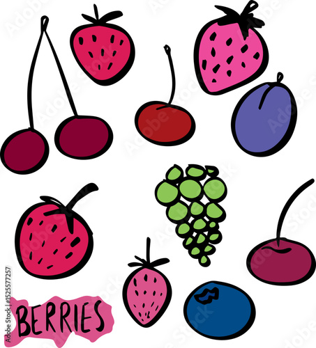 berries strawberry cherry blackberry plum doodle set. Vector illustration