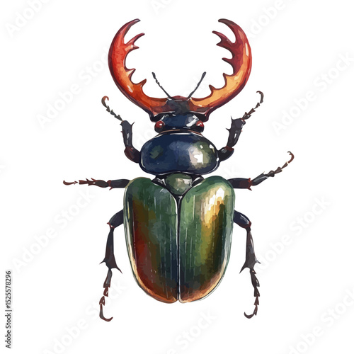 watercolor of Stag Beetle, vector high quality, isolated on a white background.