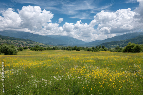 serene summer landscape featuring lush green meadows under clear blue sky dotted with wildflowers