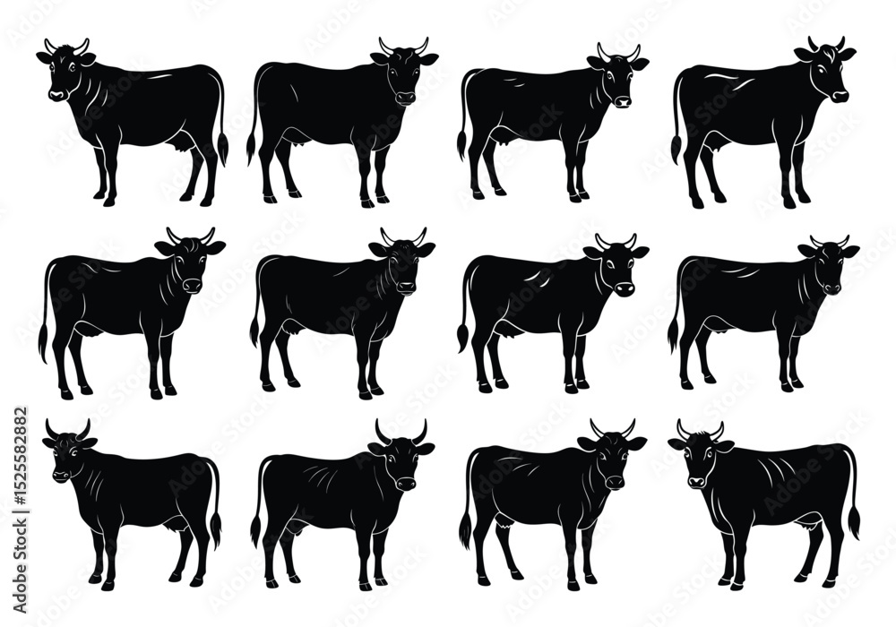Fototapeta premium Set of jersey cow silhouettes in various poses. isolated vector on white background.