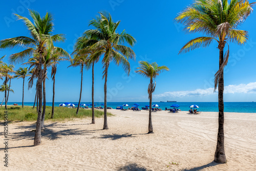 Fototapeta Naklejka Na Ścianę i Meble -  Tropical sunny beach with palm trees, beach umbrellas and tropical sea in Fort Lauderdale, Florida	