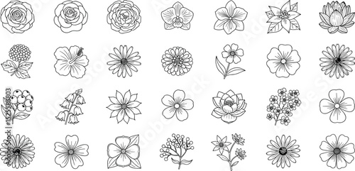 Cosmetic flowers line icon set. Vector pictograms of jasmine, calendula, ylang, geranium, peony, neroli, helichrysum, freesia, magnolia thin linear illustration.