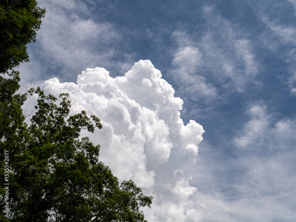 clouds in the sky clouds in the sky