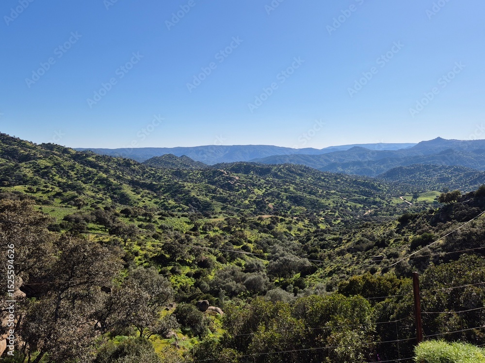 Fototapeta premium Parque Natural de Sierra Morena, Andújar - 2025