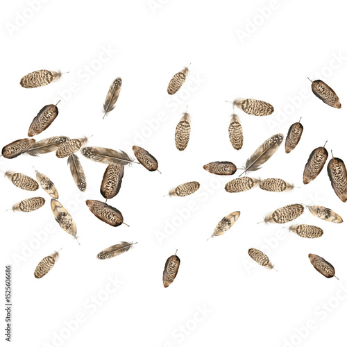 Adobe Illustrator Artwork