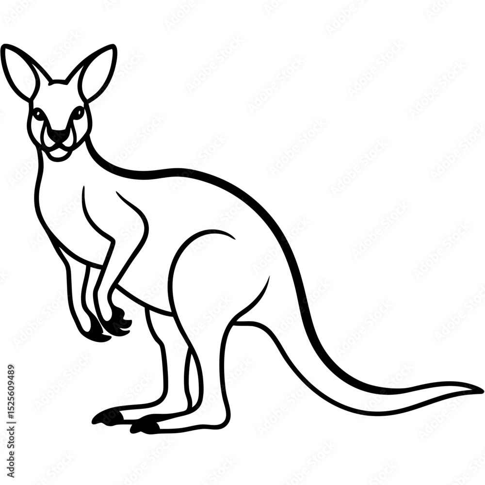 Simple Kangaroo Vector Illustration on White Background Simple Kangaroo Vector Illustration on White Background