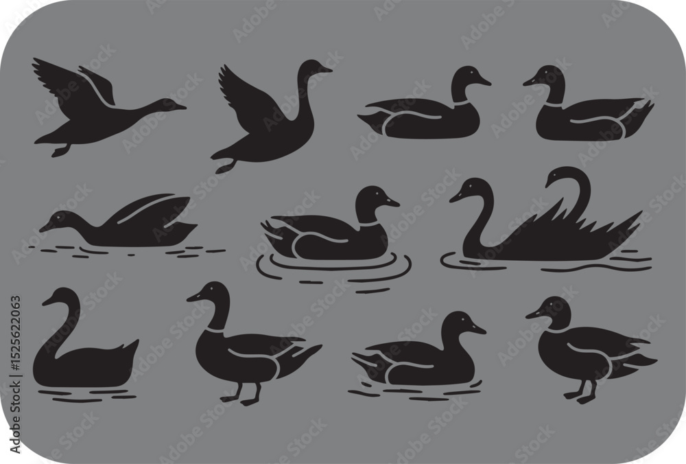 Fototapeta premium Stylized Silhouette Illustration of Ducks and Swans in Various Poses on a Gray Background with Rounded Corners Featuring Flying Swimming and Standing Birds