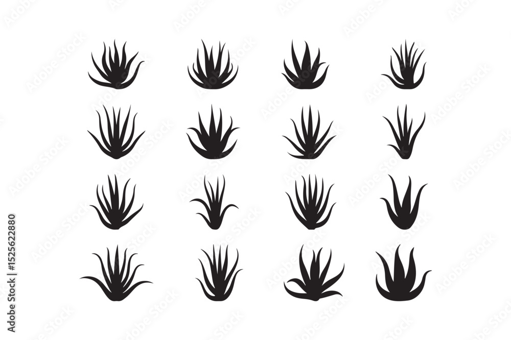 Fototapeta premium Aloe Vera Icons Collection Black Silhouette Succulent Plant Vector Set for Eco and Botanical Design