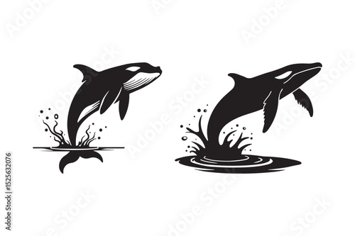 Jumping Whale Vector Illustration Ocean Marine Animal Silhouette Art