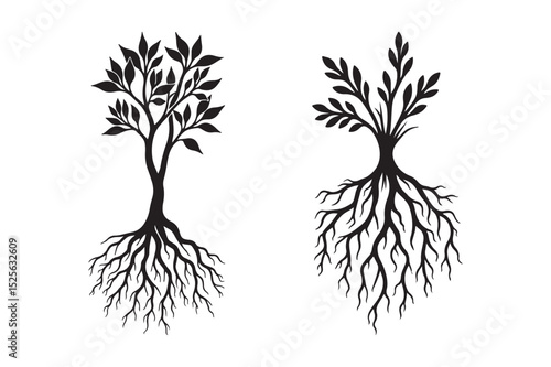 Two Silhouetted Trees with Visible Roots
