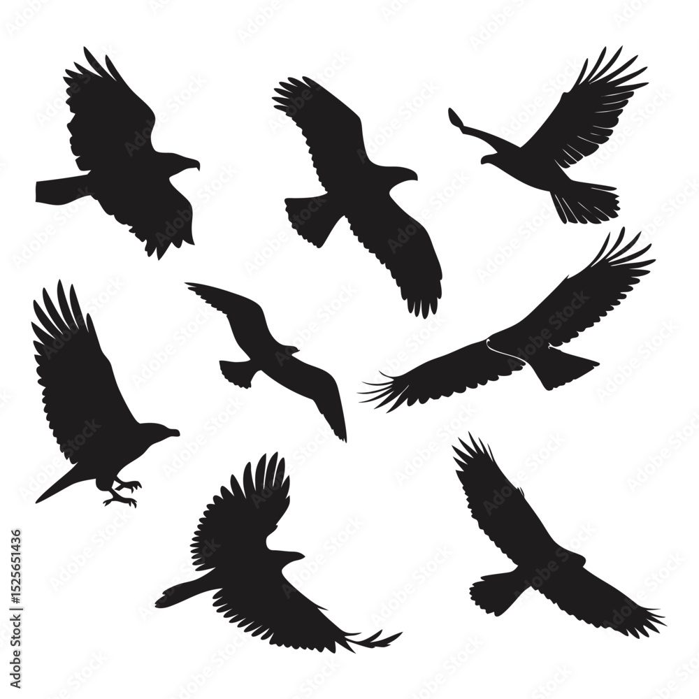 Naklejka premium Collection of Black Silhouetted Eagles and a Seagull in Flight on White