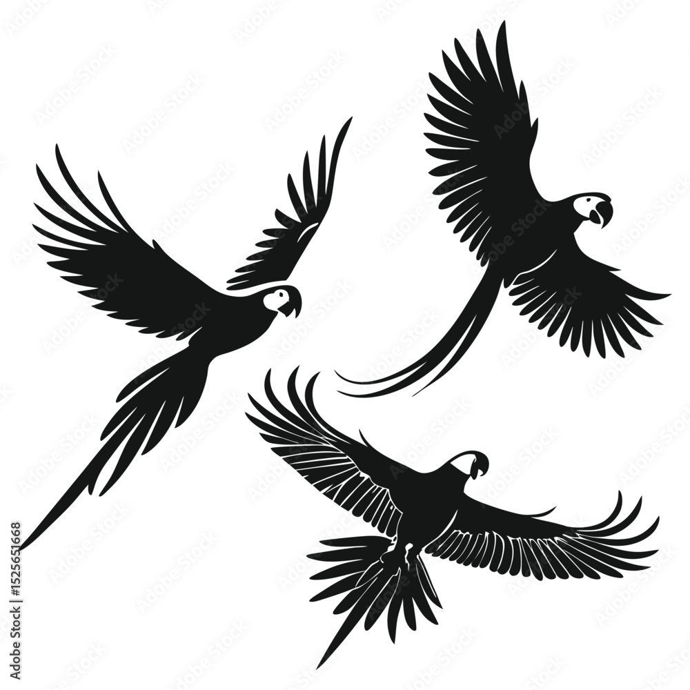Fototapeta premium Three Macaw Parrots in Flight Silhouetted Against a White Background