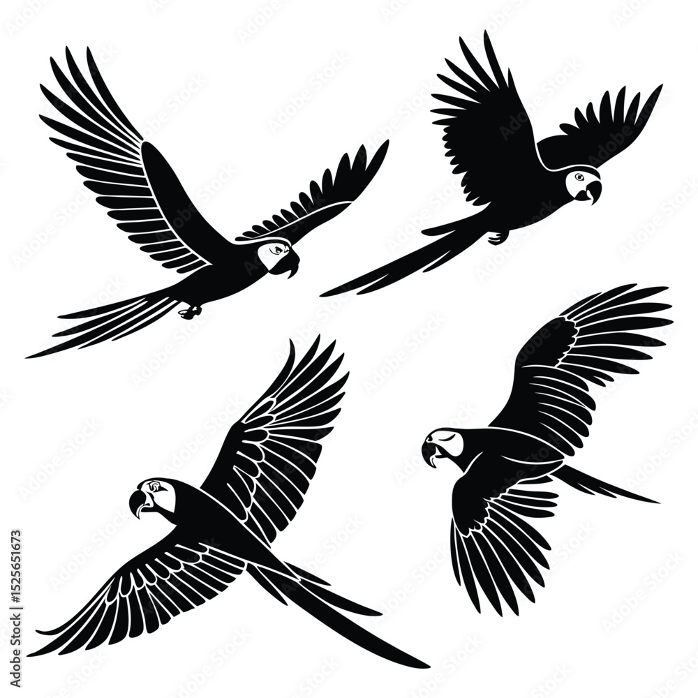 Fototapeta premium Four Black Silhouette Macaw Parrots in Flight on a White Background
