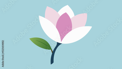 Simple vector illustration of a delicate pink and white magnolia blossom