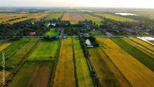 Rice field area photographed from a height using a drone.