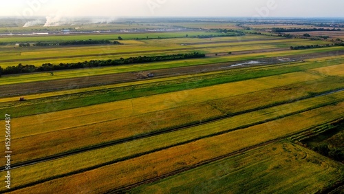 Rice field area photographed from a height using a drone.