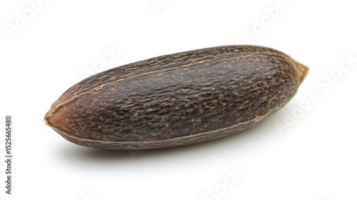 Wallpaper Mural Single seed Torontodigital.ca