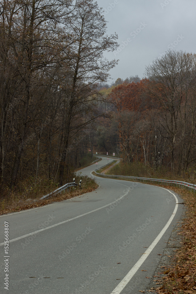 Fototapeta premium Road in the forest in the mountains in autumn