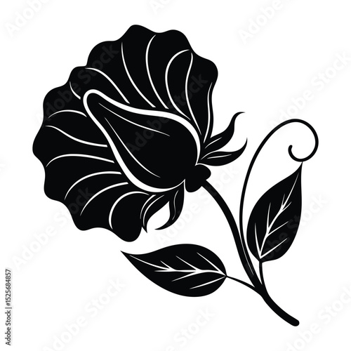 Sweet Pea Flower Silhouette Vector Illustration on White Background