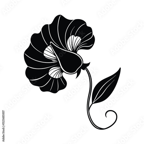 Sweet Pea Flower Silhouette Vector Illustration on White Background