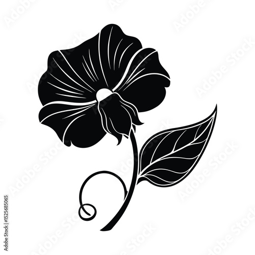 Sweet Pea Flower Silhouette Vector Illustration on White Background