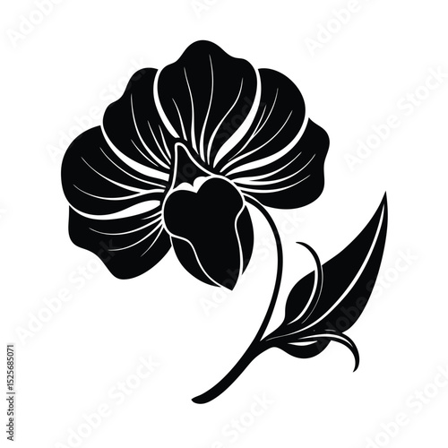 Sweet Pea Flower Silhouette Vector Illustration on White Background