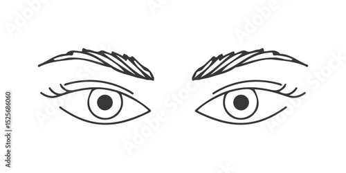 A symmetrical line drawing depicting two human eyes with detailed eyebrows.