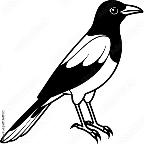 Black-hooded Oriole – Minimal Vector on White