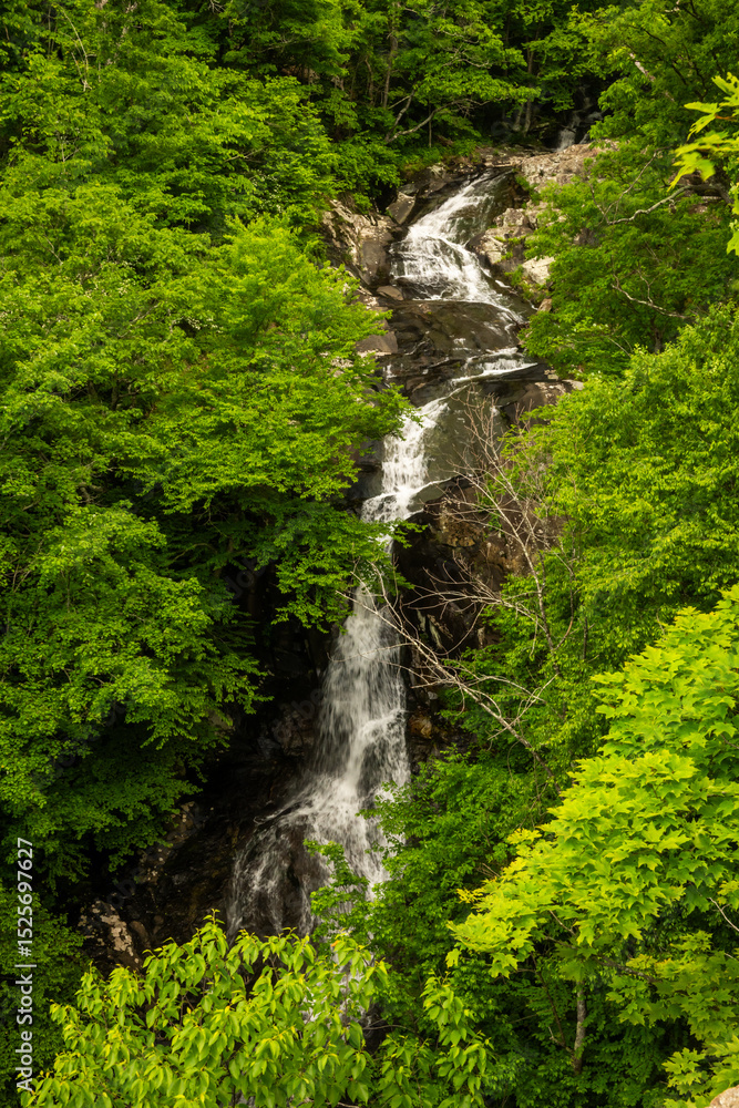 Water Tumbles over Upper Whiteoak Falls in Shenandoah Water Tumbles over Upper Whiteoak Falls in Shenandoah