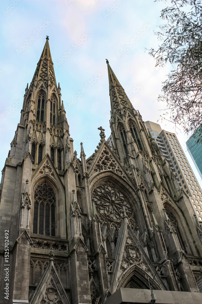 Fototapeta premium St. Patrick's Cathedral Facade, New York - 22 October 2010