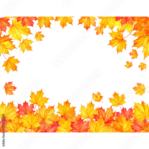 Watercolor maple leaves border, isolated on transparent background, frame with autumn foliage. Fall, season, nature concepts.