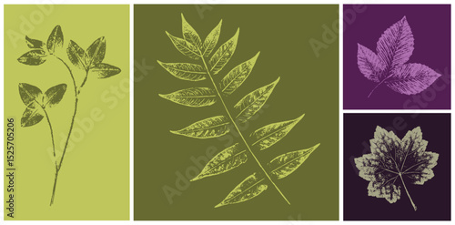 Set of hand drawn fern leaf botanical prints on various color swatches. Plant and flower art for card design or invitation.