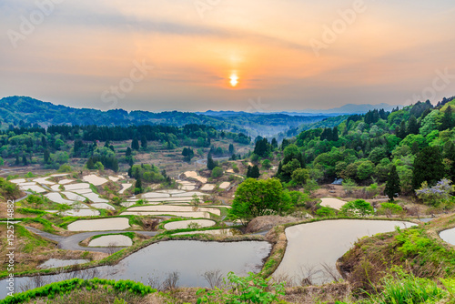 初夏の星峠の棚田と朝日　新潟県十日町市　Rice terraces and the morning sun at Hoshitoge Pass in early summer. Niigata Pref, Tokamachi City.